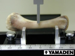 骨などの3点曲げ強度強度試験