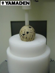 卵の殻の強度試験